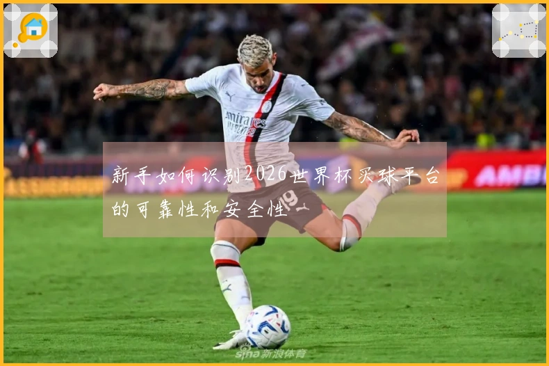 新手如何识别2026世界杯买球平台的可靠性和安全性