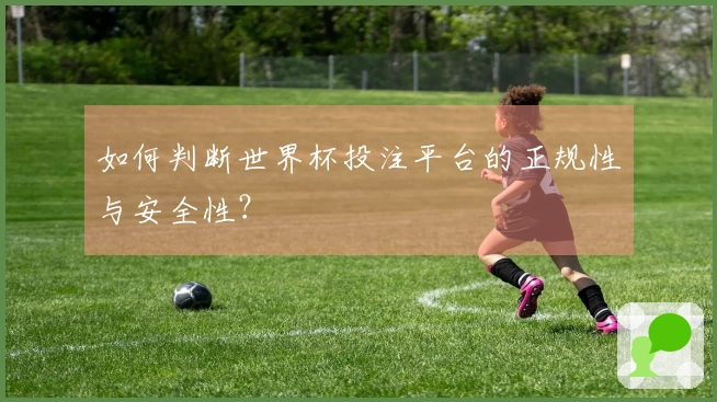 如何判断世界杯投注平台的正规性与安全性？