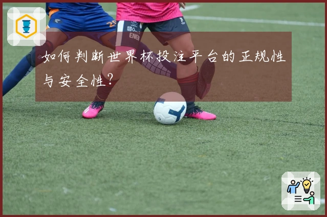 如何判断世界杯投注平台的正规性与安全性？