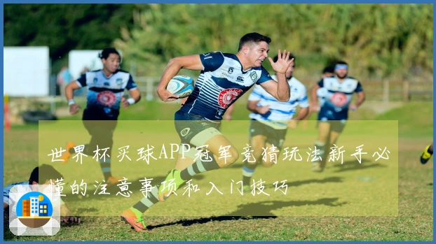 世界杯买球APP冠军竞猜玩法新手必懂的注意事项和入门技巧
