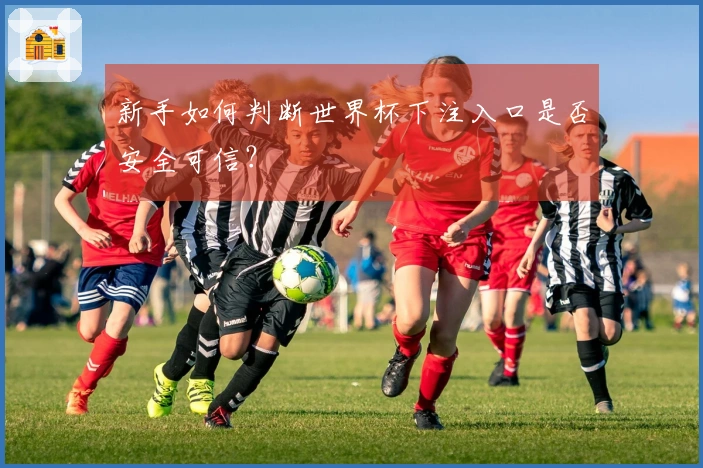 新手如何判断世界杯下注入口是否安全可信？