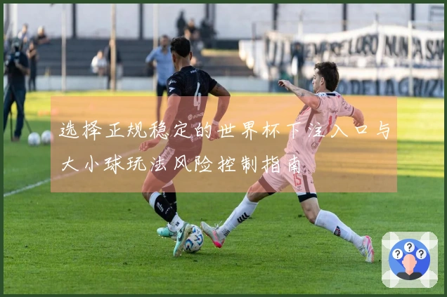 选择正规稳定的世界杯下注入口与大小球玩法风险控制指南