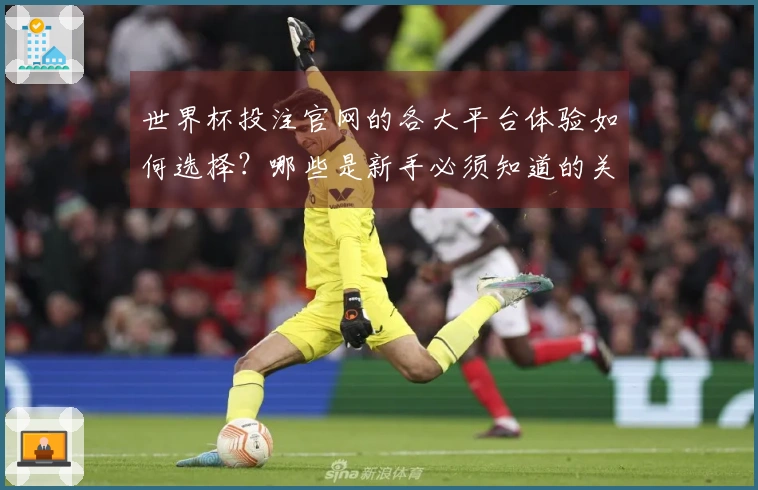 世界杯投注官网的各大平台体验如何选择？哪些是新手必须知道的关键要点？