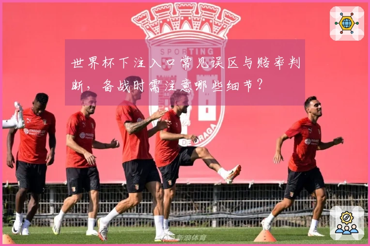 世界杯下注入口常见误区与赔率判断，备战时需注意哪些细节？