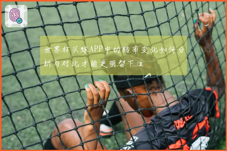 世界杯买球APP中的赔率变化如何分析与对比才能更明智下注