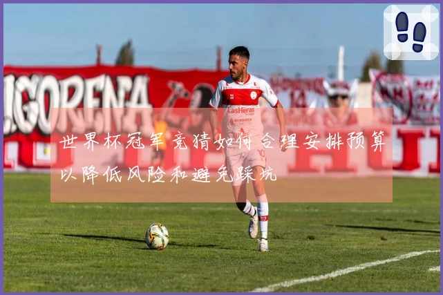 世界杯冠军竞猜如何合理安排预算以降低风险和避免踩坑