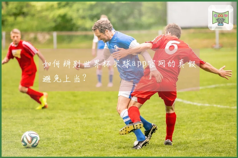 如何辨别世界杯买球app官网的真假避免上当？
