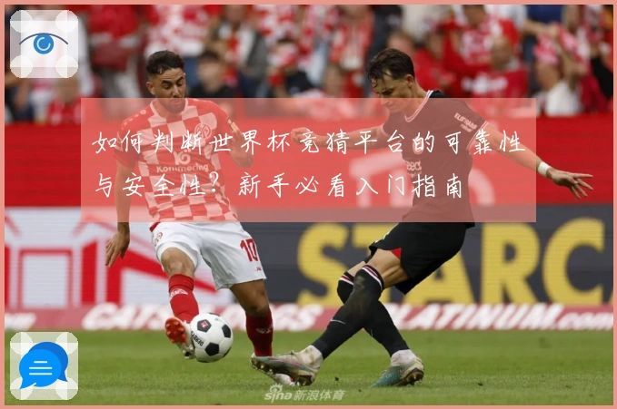 如何判断世界杯竞猜平台的可靠性与安全性？新手必看入门指南