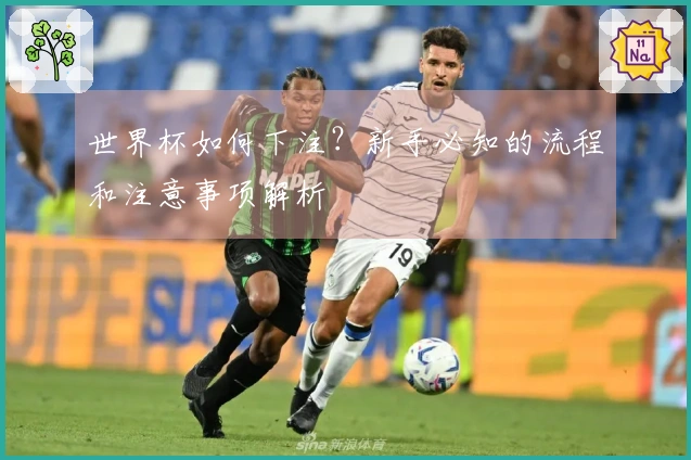 世界杯如何下注？新手必知的流程和注意事项解析