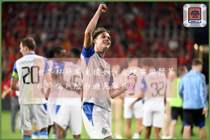 世界杯冠军竞猜如何合理安排预算以降低风险和避免踩坑