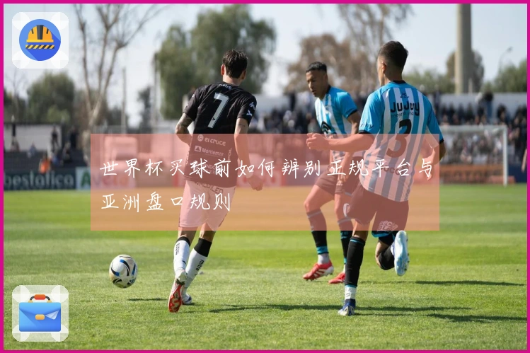 世界杯买球前如何辨别正规平台与亚洲盘口规则
