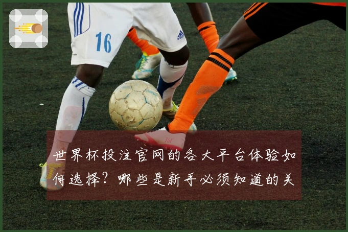 世界杯投注官网的各大平台体验如何选择？哪些是新手必须知道的关键要点？