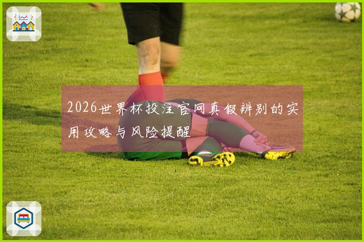 2026世界杯投注官网真假辨别的实用攻略与风险提醒