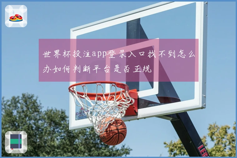 世界杯投注app登录入口找不到怎么办如何判断平台是否正规