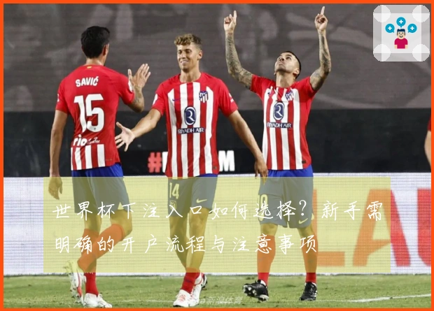世界杯下注入口如何选择？新手需明确的开户流程与注意事项