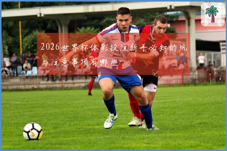 2026世界杯体彩投注新手必知的坑与注意事项有哪些