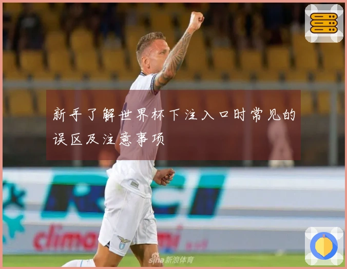 新手了解世界杯下注入口时常见的误区及注意事项