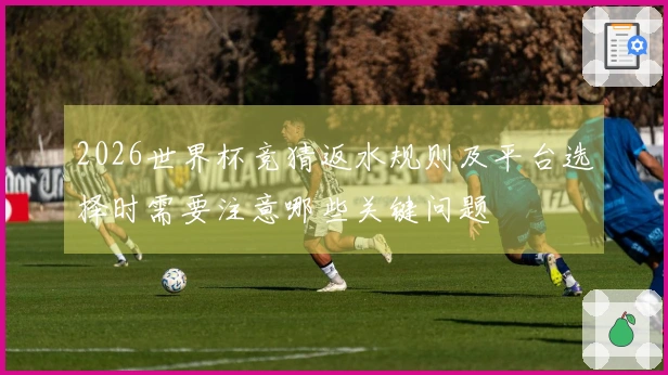 2026世界杯竞猜返水规则及平台选择时需要注意哪些关键问题