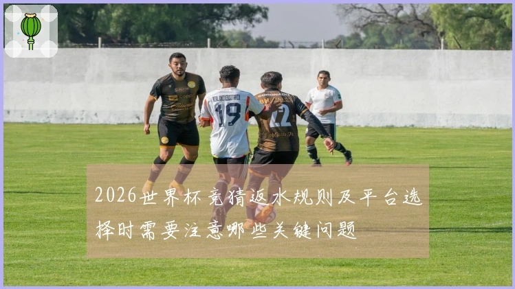 2026世界杯竞猜返水规则及平台选择时需要注意哪些关键问题