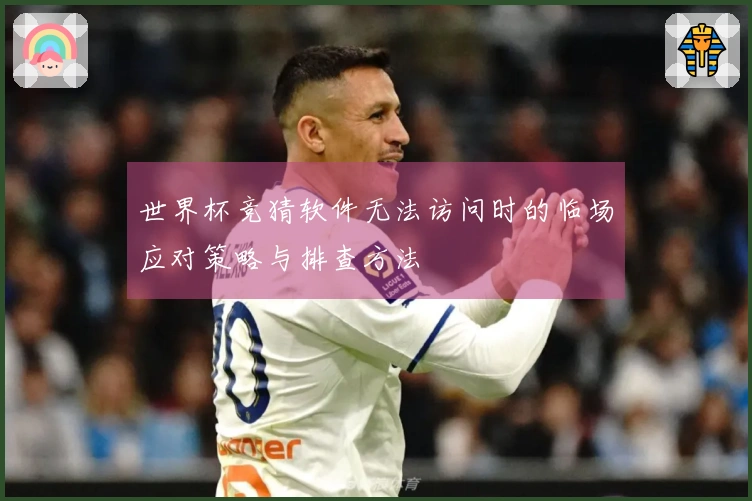 世界杯竞猜软件无法访问时的临场应对策略与排查方法