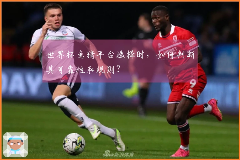 世界杯竞猜平台选择时，如何判断其可靠性和规则？