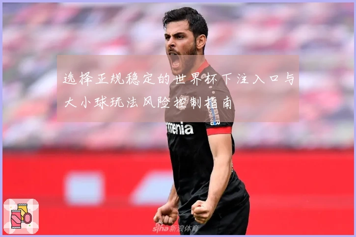 选择正规稳定的世界杯下注入口与大小球玩法风险控制指南