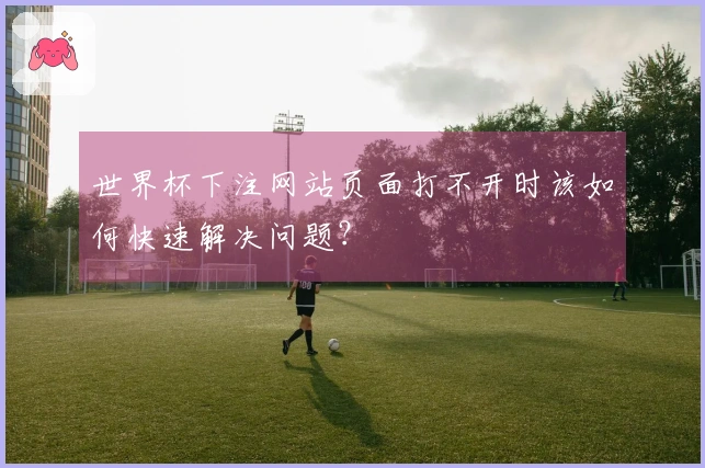 世界杯下注网站页面打不开时该如何快速解决问题？