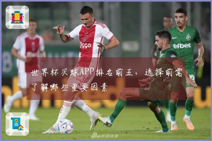世界杯买球APP排名前五，选择前需了解哪些重要因素