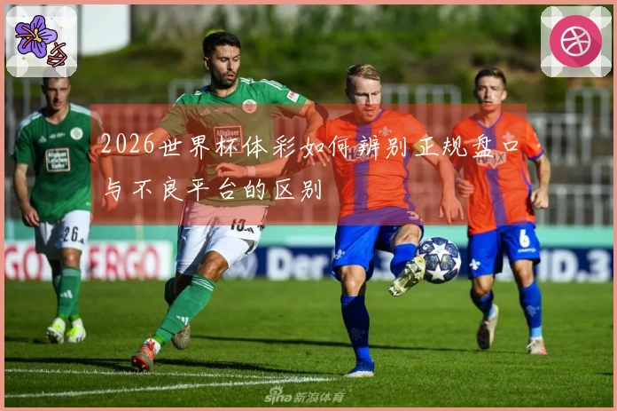 2026世界杯体彩如何辨别正规盘口与不良平台的区别