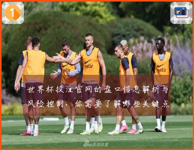 世界杯投注官网的盘口信息解析与风险控制，你需要了解哪些关键点？