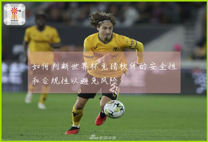 如何判断世界杯竞猜软件的安全性和合规性以避免风险
