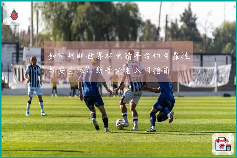 如何判断世界杯竞猜平台的可靠性与安全性？新手必看入门指南