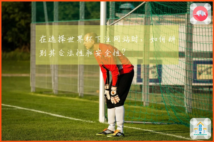 在选择世界杯下注网站时，如何辨别其合法性和安全性？