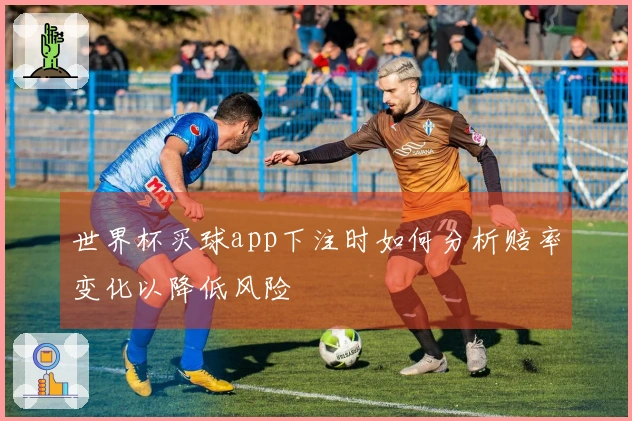 世界杯买球app下注时如何分析赔率变化以降低风险