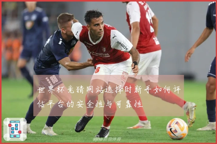 世界杯竞猜网站选择时新手如何评估平台的安全性与可靠性