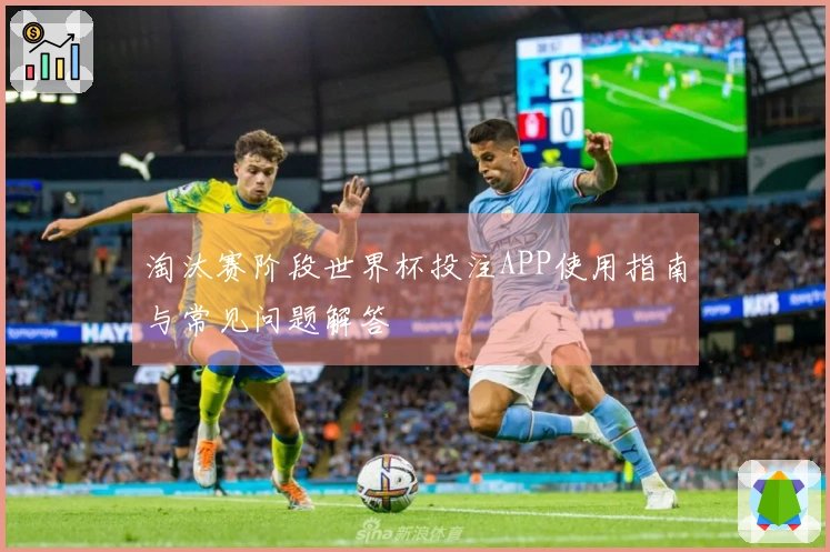 淘汰赛阶段世界杯投注APP使用指南与常见问题解答