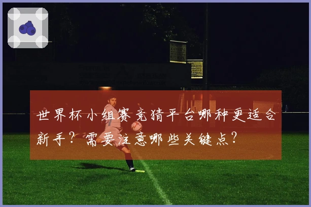世界杯小组赛竞猜平台哪种更适合新手？需要注意哪些关键点？
