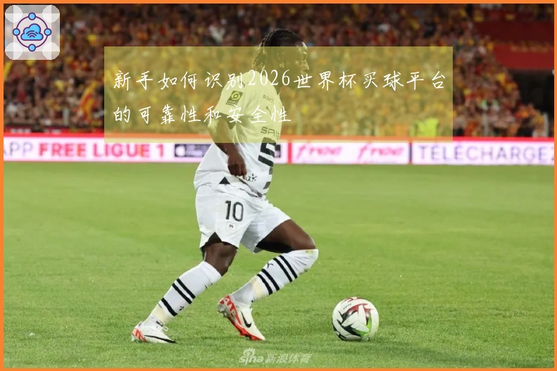 新手如何识别2026世界杯买球平台的可靠性和安全性