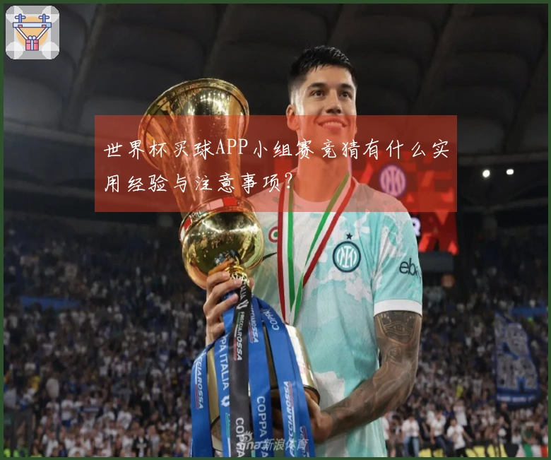 世界杯买球APP小组赛竞猜有什么实用经验与注意事项？