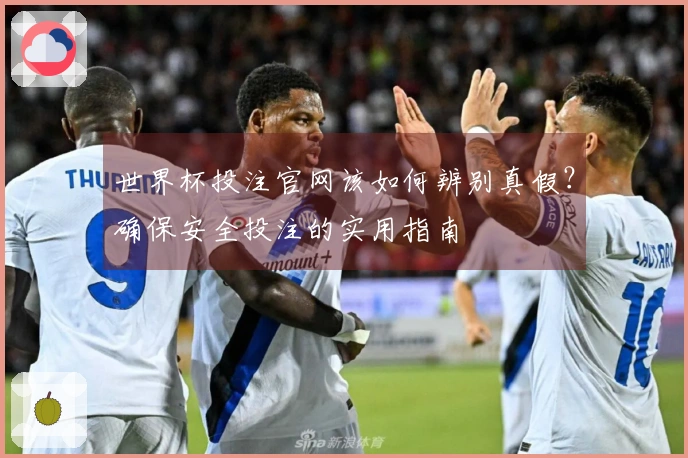 世界杯投注官网该如何辨别真假？确保安全投注的实用指南