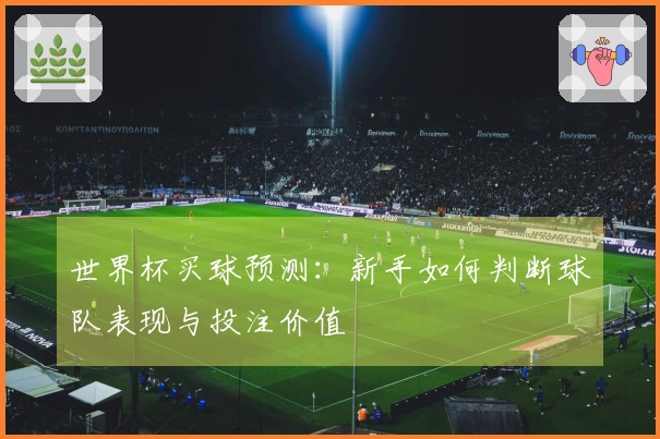 世界杯买球预测：新手如何判断球队表现与投注价值