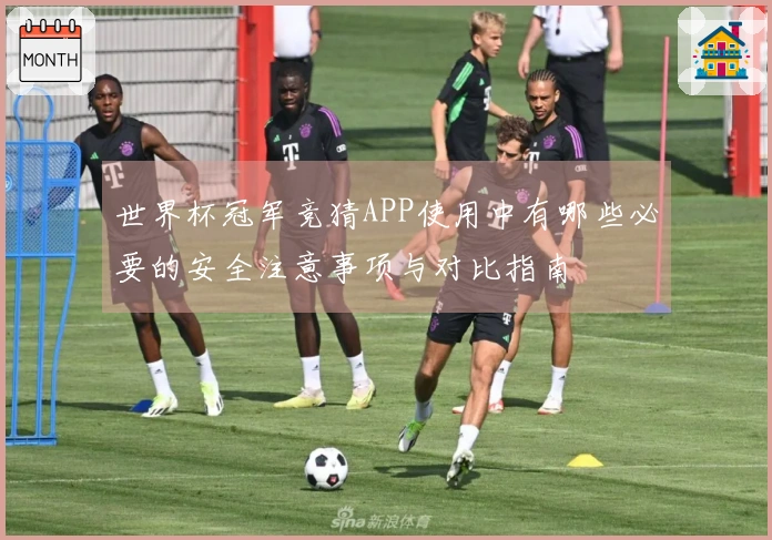 世界杯冠军竞猜APP使用中有哪些必要的安全注意事项与对比指南