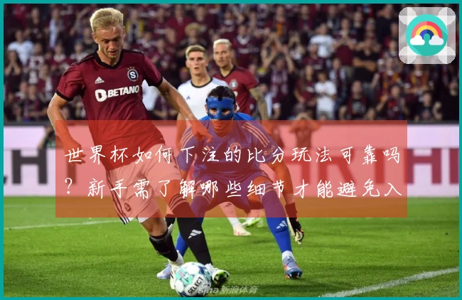 世界杯如何下注的比分玩法可靠吗？新手需了解哪些细节才能避免入坑