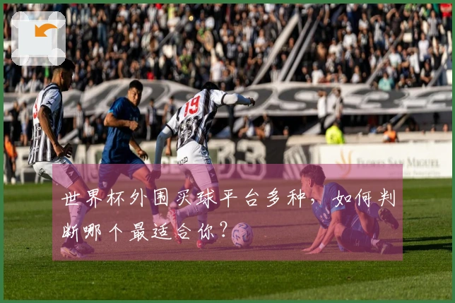 世界杯外围买球平台多种，如何判断哪个最适合你？