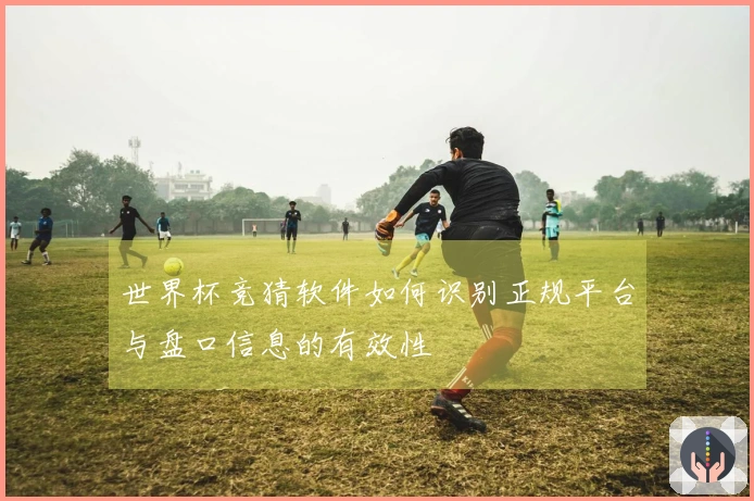 世界杯竞猜软件如何识别正规平台与盘口信息的有效性