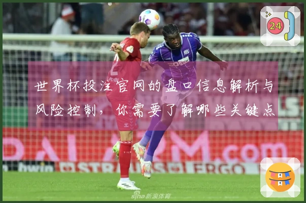 世界杯投注官网的盘口信息解析与风险控制，你需要了解哪些关键点？