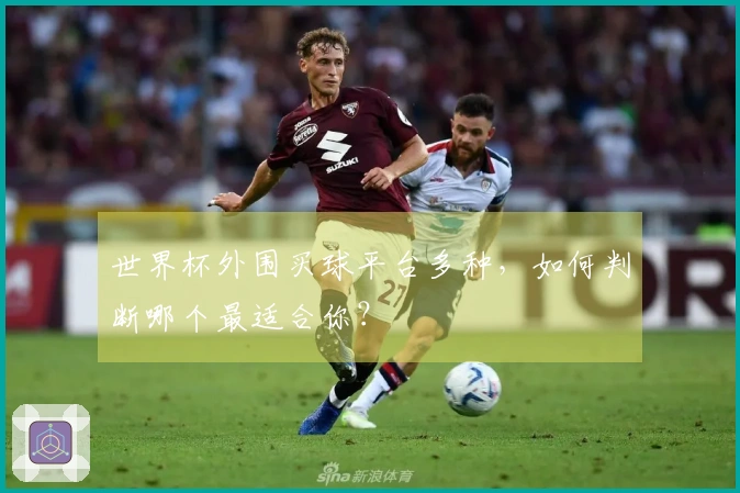 世界杯外围买球平台多种，如何判断哪个最适合你？