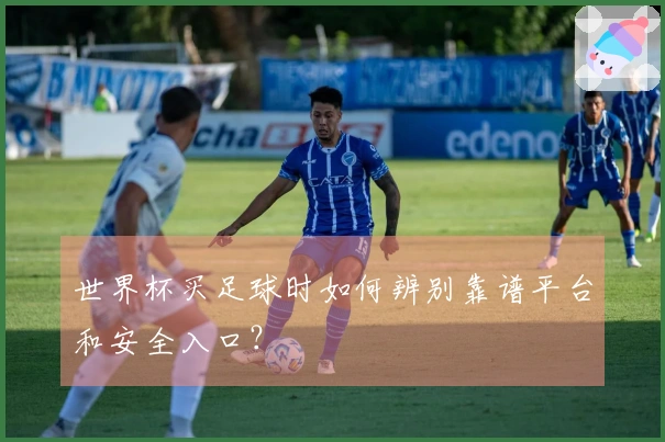 世界杯买足球时如何辨别靠谱平台和安全入口？