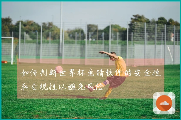 如何判断世界杯竞猜软件的安全性和合规性以避免风险